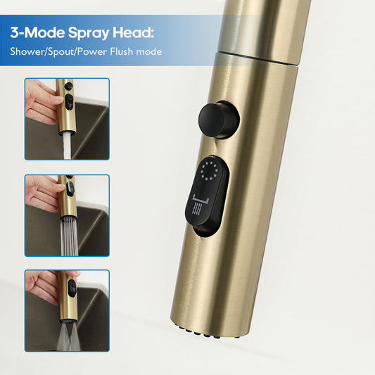 Decaura Kitchen Mixer Tap Pull Out Brushed Gold with Stainless Steel Spray Head