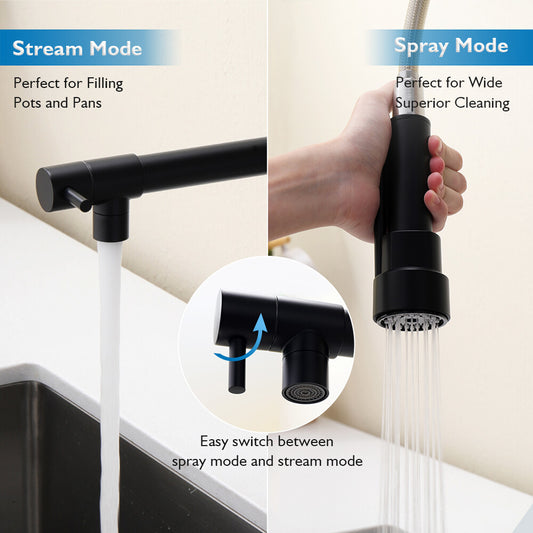 Decaura Spring Kitchen Mixer Tap Pull Out Black with 2 Water Outlet Swivel Arm