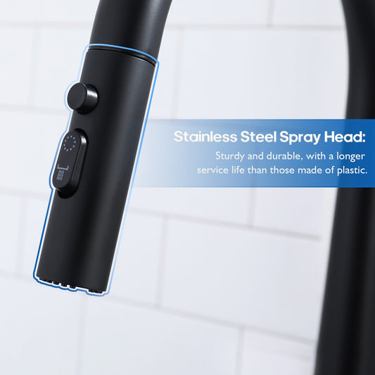 Decaura Kitchen Mixer Tap Pull Out Black 3-Mode Spray Head Sink Faucet Swivel