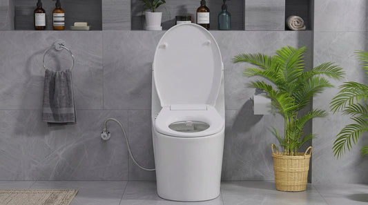 Bidet Spray Australia: A Modern Bathroom Upgrade for Better Hygiene