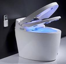 Smart Bidet Seats Australia: Installation, Cost & Benefits Explained