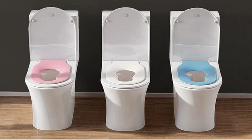 Toilet Seat