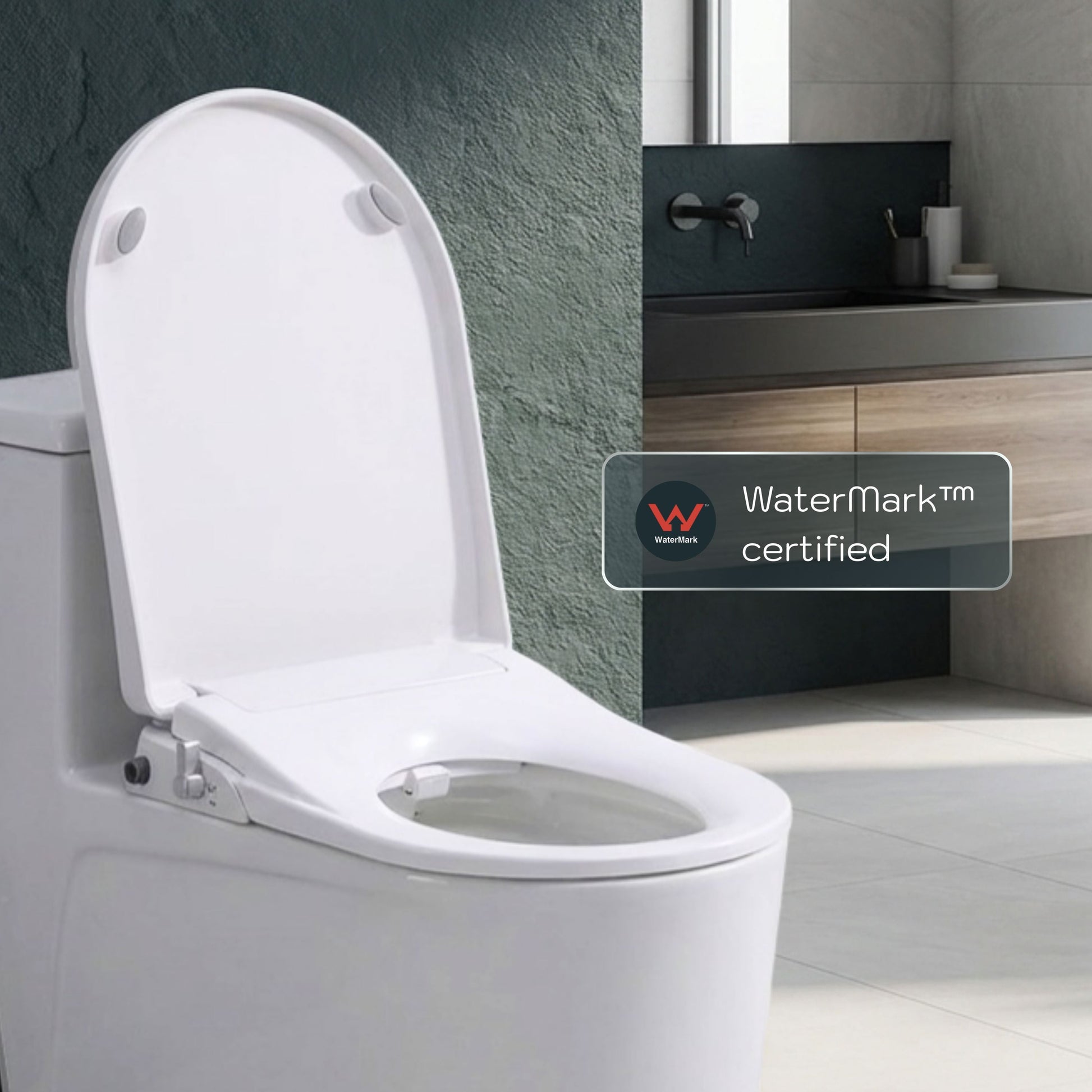Toilet with Left Water Inlet