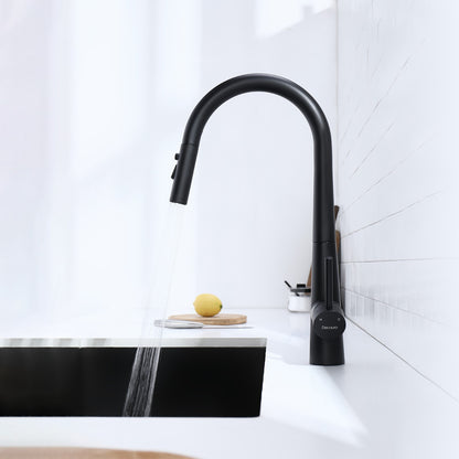 Decaura Kitchen Tap Black Pull Out 3-Mode Spray Head Gooseneck Swivel Arm Luxury