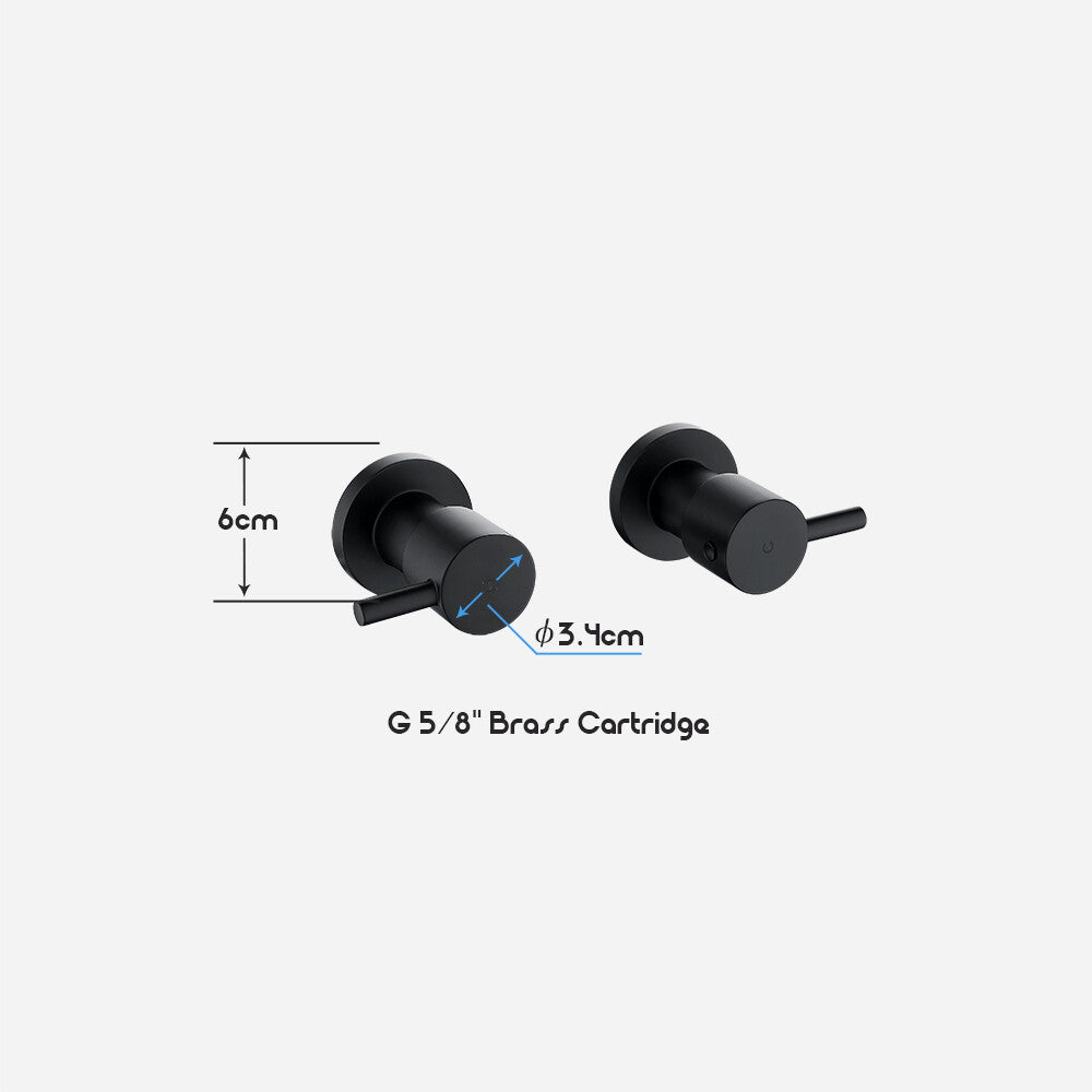 Decaura 9" Rain Shower Head Set Brass Gooseneck Shower Arm Shower Mixer Black