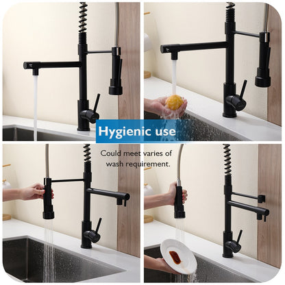 Decaura Spring Kitchen Mixer Tap Pull Out Black with 2 Water Outlet Swivel Arm