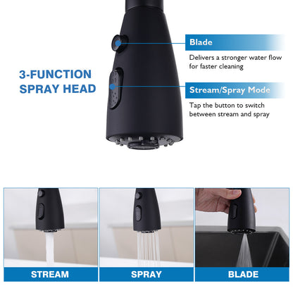 Decaura Kitchen Mixer Tap Pull Out 3-Mode Sprayer Swivel Black Sink Faucet