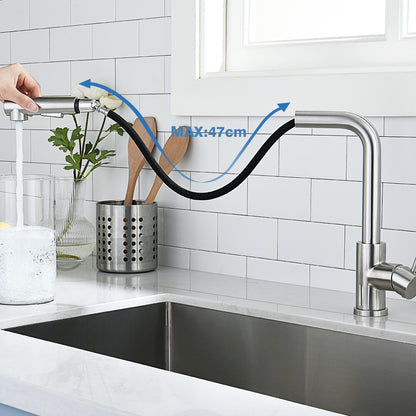 Decaura Kitchen Mixer Tap Pull out 2-Mode Spray Sink Taps Swivel Brushed Nickel