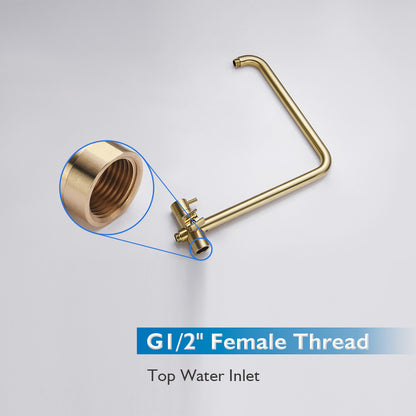 Decaura 9" or 10" Shower Head Set Gooseneck Chrome Black Golden Wall Shower Taps
