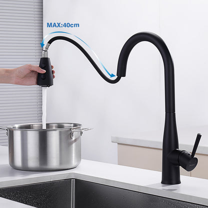 Decaura Kitchen Mixer Tap Pull Out 3-Mode Sprayer Swivel Black Sink Faucet