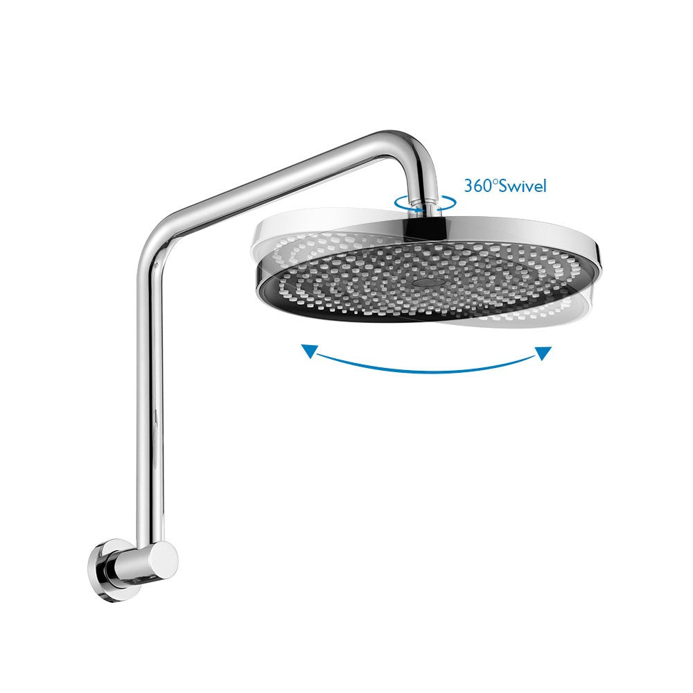 Decaura 10 inch Rain Shower Head with Gooseneck Shower Arm Chrome Round Bathroom