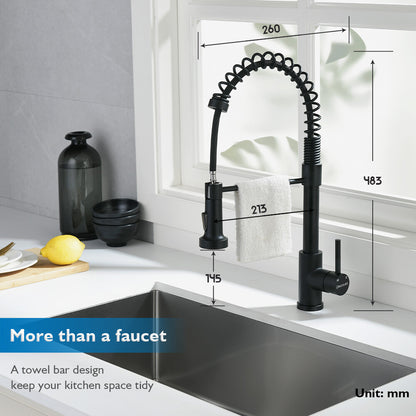 Decaura Kitchen Mixer Tap pull out Sink Faucet Black 2-Mode Spray and swivel