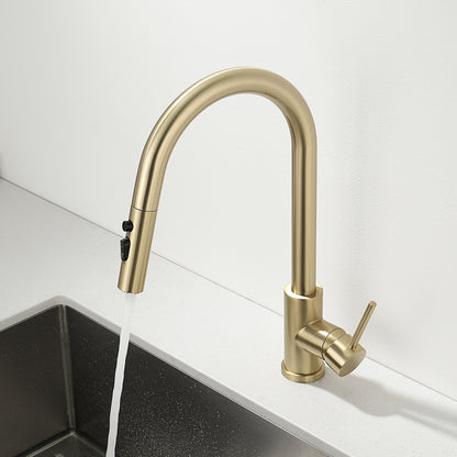 Decaura Kitchen Mixer Tap Pull Out Brushed Gold with Stainless Steel Spray Head