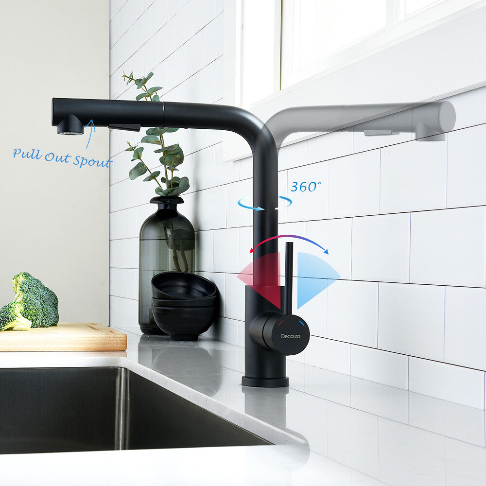 WELS Kitchen Mixer Tap Pull out Sink Faucet 2-Mode Sprayer Matte Black Swivel
