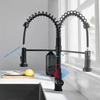 Decaura Kitchen Mixer Tap pull out Sink Faucet Black 2-Mode Spray and swivel