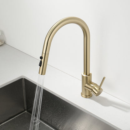 Decaura Kitchen Mixer Tap Pull Out Brushed Gold with Stainless Steel Spray Head