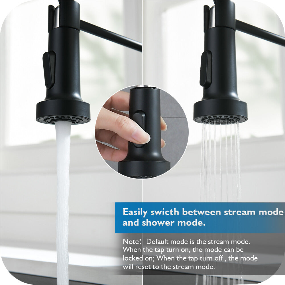 Decaura Kitchen Mixer Tap pull out Sink Faucet Black 2-Mode Spray and swivel