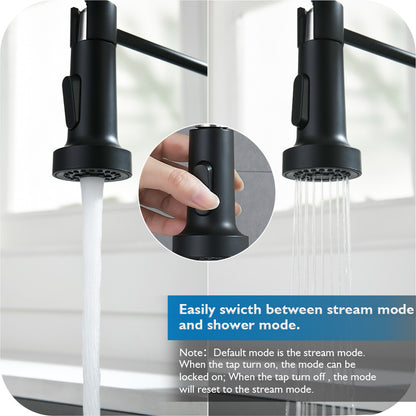 Decaura Kitchen Mixer Tap pull out Sink Faucet Black 2-Mode Spray and swivel