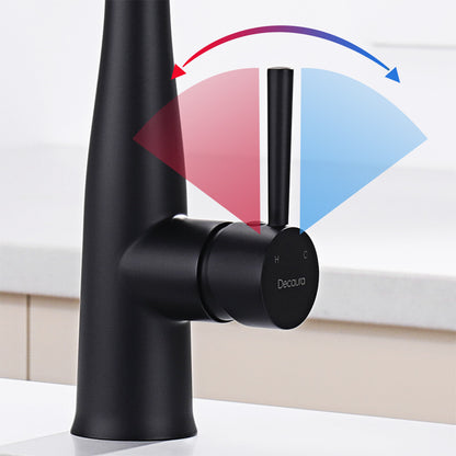 Decaura Kitchen Mixer Tap Pull Out 3-Mode Sprayer Swivel Black Sink Faucet
