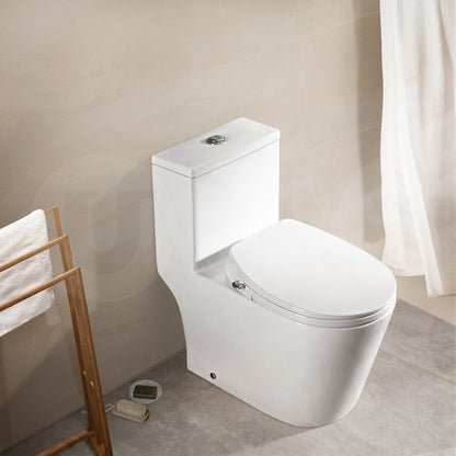 Simplus Non Electric Bidet Toilet Seat w Cover Bathroom Spray Water Wash