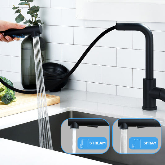 WELS Kitchen Mixer Tap Pull out Sink Faucet 2-Mode Sprayer Matte Black Swivel