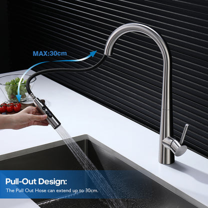 Decaura Kitchen Sink Mixer Tap Faucet Pull Out 3-Mode Metal Spray Head Stainless