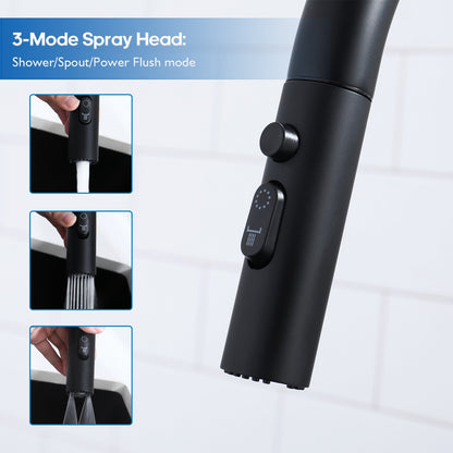 Decaura Kitchen Tap Black Pull Out 3-Mode Spray Head Gooseneck Swivel Arm Luxury