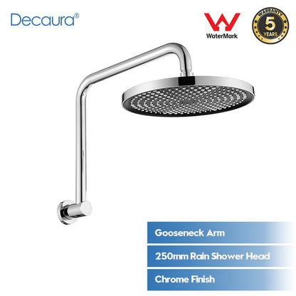 Decaura 10 inch Rain Shower Head with Gooseneck Shower Arm Chrome Round Bathroom