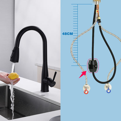 Decaura Kitchen Mixer Tap Pull Out 3-Mode Sprayer Swivel Black Sink Faucet