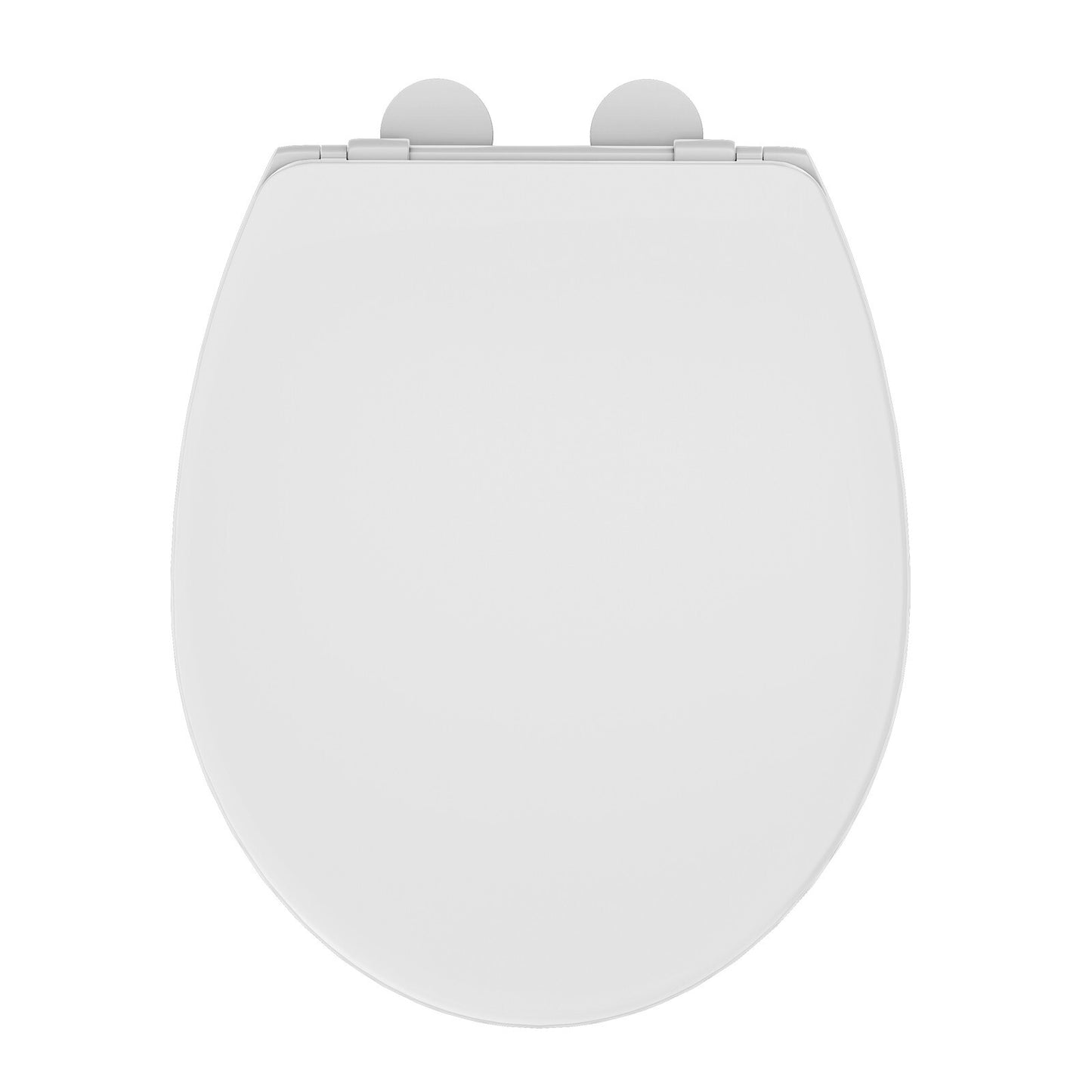 AQUATIZ Blue D-Shaped Family Toilet Seat with Built-in Potty Training Seat