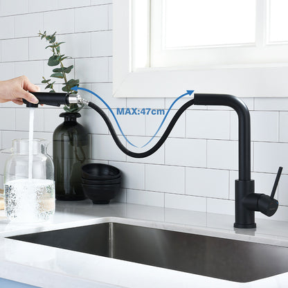 WELS Kitchen Mixer Tap Pull out Sink Faucet 2-Mode Sprayer Matte Black Swivel