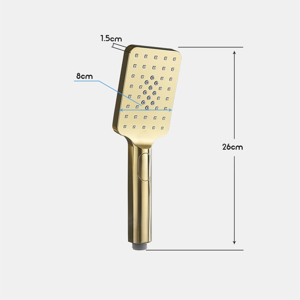 Decaura Handheld Shower Head Square 3-Mode Spray with Shower Hose Brushed Gold