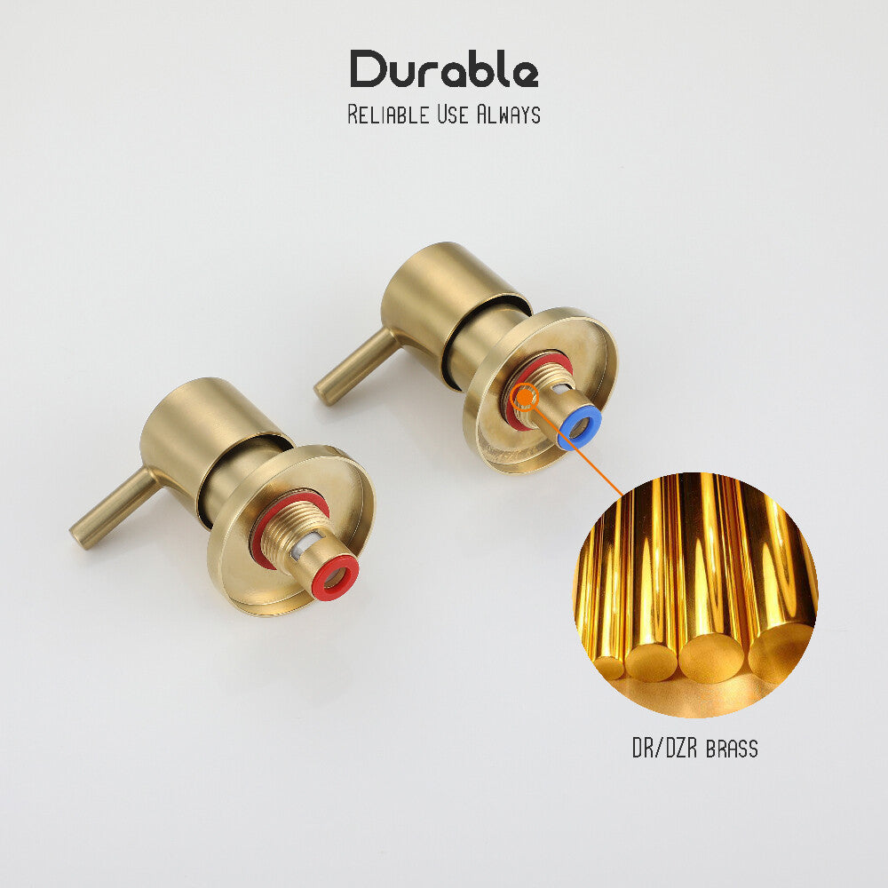 WELS 9" Rain Shower Head Set Brushed Gold Separate Water Inlet Shower Mixer Taps
