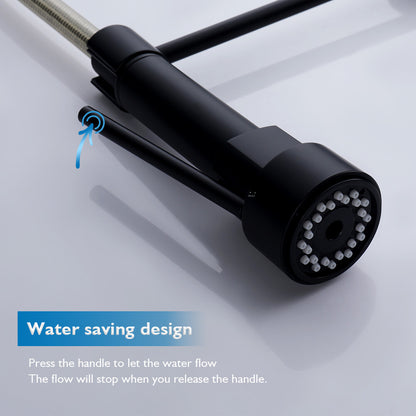 Decaura Spring Kitchen Mixer Tap Pull Out Black with 2 Water Outlet Swivel Arm