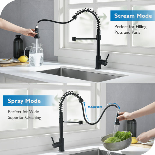 Decaura Kitchen Mixer Tap pull out Sink Faucet Black 2-Mode Spray and swivel