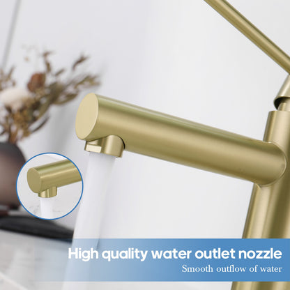 Decaura Bath Basin Mixer Tap Vanity Faucet Single Handle Tapware with Pop Waste