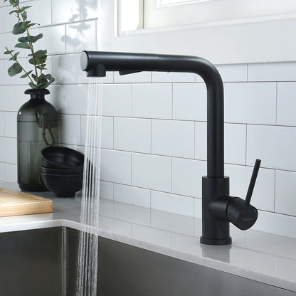WELS Kitchen Mixer Tap Pull out Sink Faucet 2-Mode Sprayer Matte Black Swivel