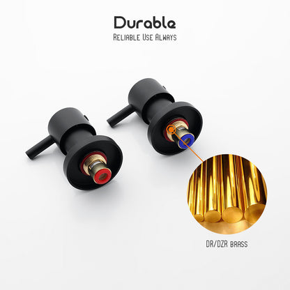 Decaura 9" Rain Shower Head Set Brass Gooseneck Shower Arm Shower Mixer Black