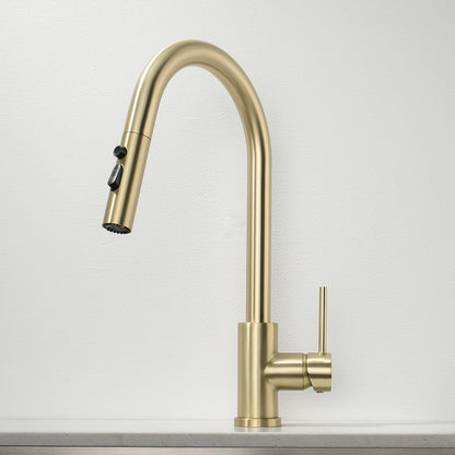 Decaura Kitchen Mixer Tap Pull Out Brushed Gold with Stainless Steel Spray Head