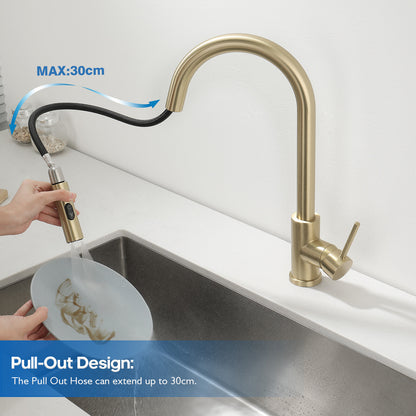 Decaura Kitchen Mixer Tap Pull Out Brushed Gold with Stainless Steel Spray Head